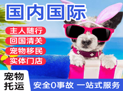 北海福成航空邮寄国际宠物托运 【国